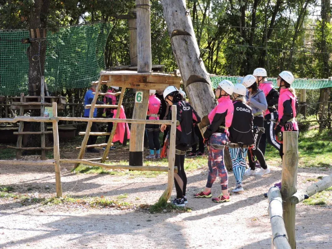 Team building aktivnosti u hrastovoj šumi